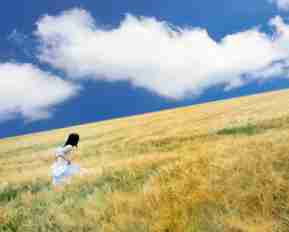 自‌动‌网‍页‌压﻿缩​系﻿统‍软​件​